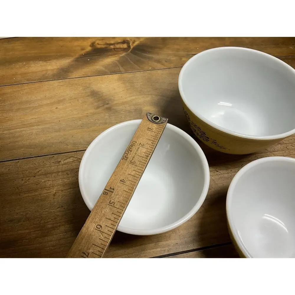 Pyrex vintage homestead